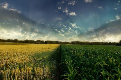 Senado aprova PL que prorroga dívidas de produtores rurais afetados pelo COVID-19