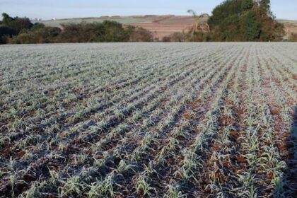 Serra Catarinense registra temperatura baixa e geada nesta semana