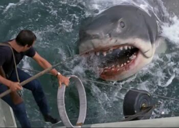 Você sabia que o Filme Tubarão teve seu final alterado após ataque na vida real?