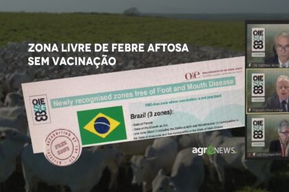 Municípios de MT recebem certificação da OIE como zona livre de febre aftosa sem vacinação