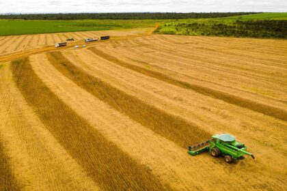 Nova regra aperfeiçoa o Zoneamento Agrícola de Risco Climático (Zarc)