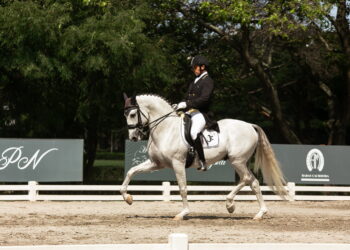 40ª Exposição Internacional do Cavalo Lusitano será palco de Concurso de Adestramento Nacional