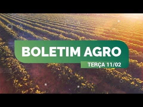 CLIMATEMPO 11 a 17 de fevereiro, veja a previsão do tempo em todo o Brasil