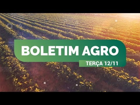 CLIMATEMPO 12 a 18 de novembro, veja a previsão do tempo no Brasil