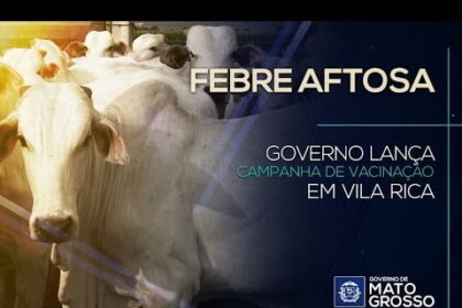 Febre Aftosa: Governo lança campanha de vacinação em Vila Rica