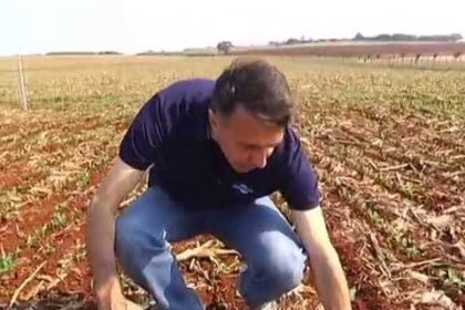 É hora de cuidar do manejo de plantas daninhas em soja