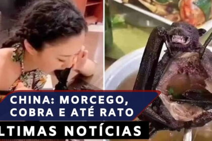 Ah! Origem do Coronavírus pode ser de morcegos que foram comidos na China