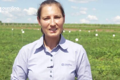 Conheça Nillus, a solução da Ourofino Agrociência no combate à mancha-castanha