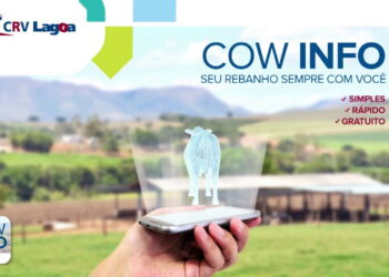 Com quase 1.000 usuários e mais de 8.000 vacas cadastradas, aplicativo Cow Info é sucesso