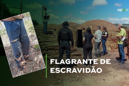 Escravidão ainda? Agentes federais e MPT autuam fazenda em MG que submetia pessoas ao trabalho escravo