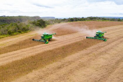 Soja: USDA espera por aumento na produção mundial