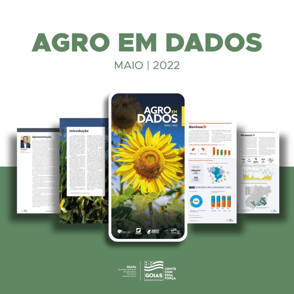 Edição de maio do Agro em Dados dá visibilidade à produção de girassol em Goiás