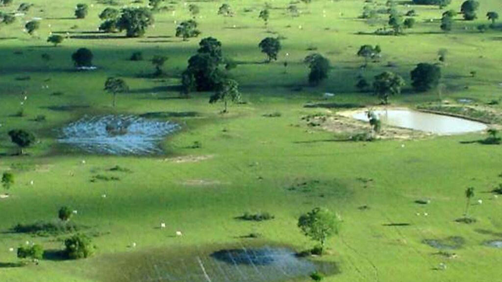 Decisão Judicial impacta produtores rurais em áreas úmidas de Mato Grosso