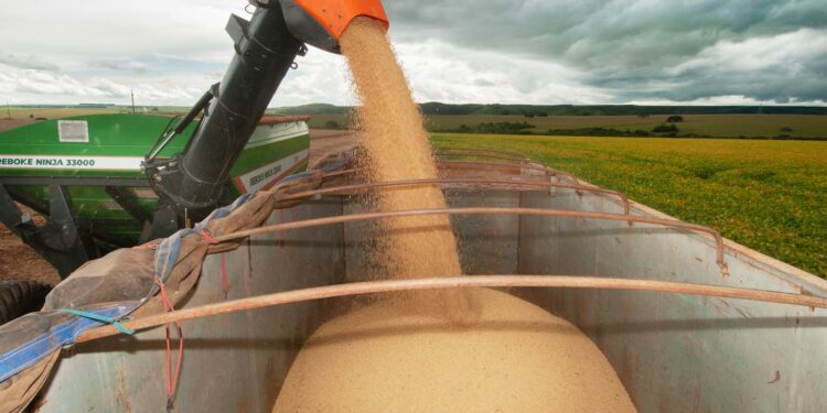 Goiás tem produção de 29,2 milhões de ton de grãos na safra 2021/22, diz Conab