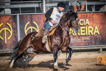 Freio de Ouro conhece seus novos 15 finalistas após seletiva