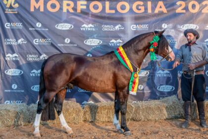 Cuiabá-MT revela mais 8 cavalos passaporteados para a Nacional da Morfologia Expointer