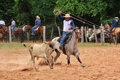 Estão abertas as inscrições para a Prova Rei do Laço da 54ª Expoagro em Mato Grosso