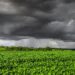 Atenção produtor! Alerta para chuva e geada nas áreas agrícolas do país