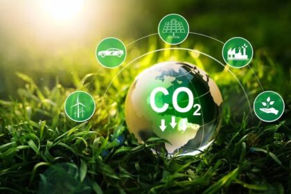 Mercado de crédito de carbono será discutido no Universo Pecuária - UP