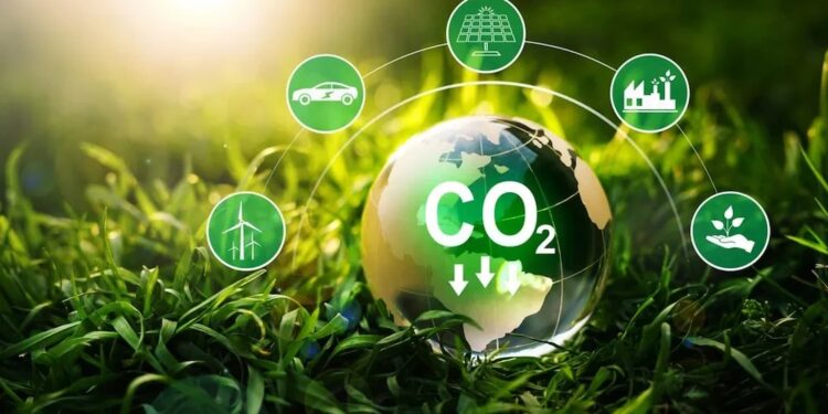 Mercado de crédito de carbono será discutido no Universo Pecuária - UP