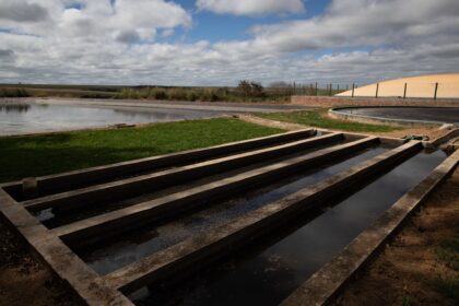 Energia limpa: Apenas 2% do potencial de resíduos agropecuários é aproveitado