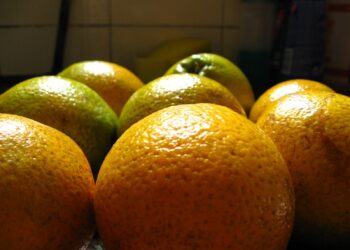 Mercado de laranjas segue com baixa movimentação