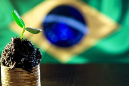 Créditos de carbono: Brasil pode chegar a US$ 120 Bi de participação no mercado global