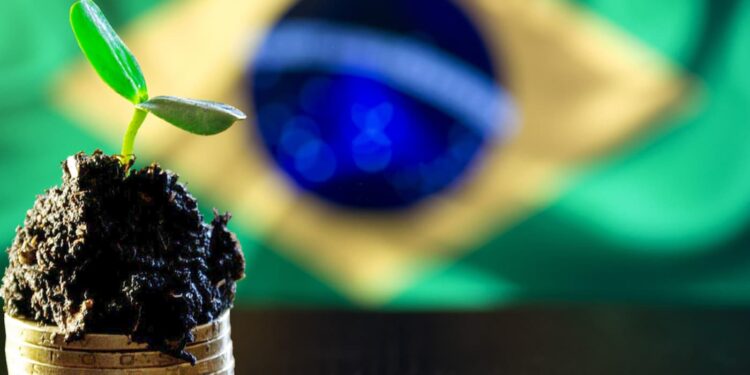 Créditos de carbono: Brasil pode chegar a US$ 120 Bi de participação no mercado global