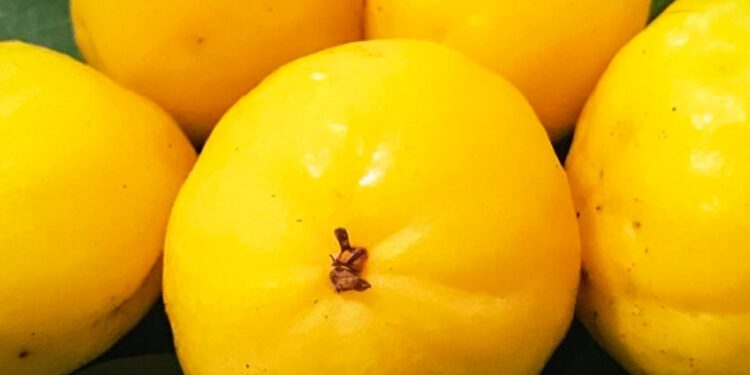 Cagaita - fruta do cerrado cheia de benefícios que talvez você não conheça
