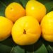 Cagaita - fruta do cerrado cheia de benefícios que talvez você não conheça