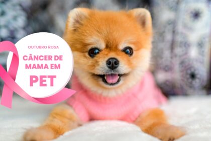 Outubro Rosa: Câncer de mama em pet