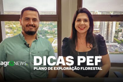 Dicas e orientações sobre o Plano de Exploração Florestal (PEF)