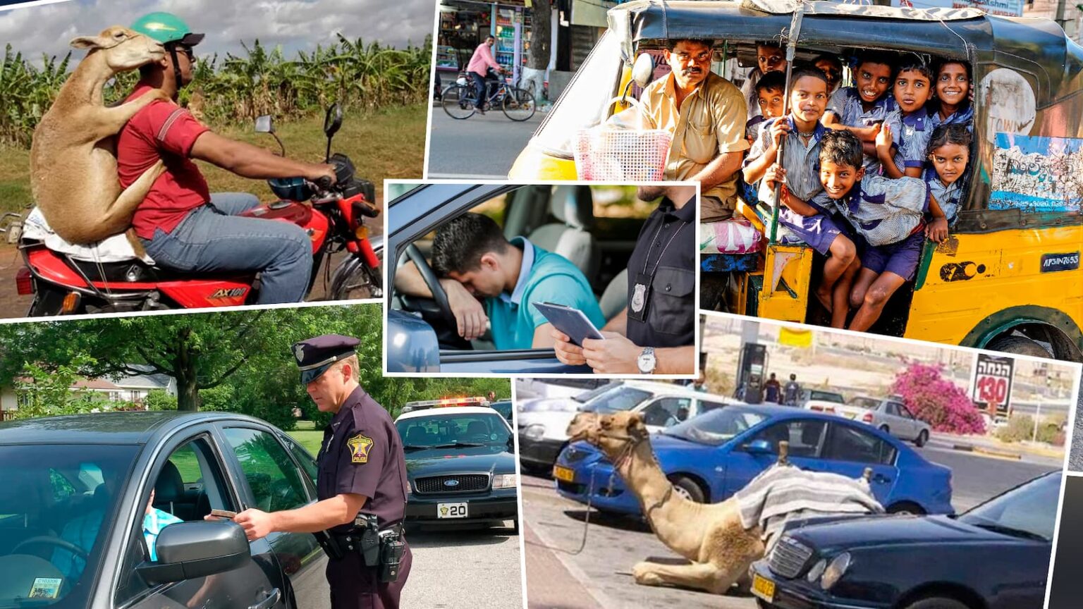 Leis De Transito Bizarras No Brasil E Mundo Voce Nao Vai Acreditar