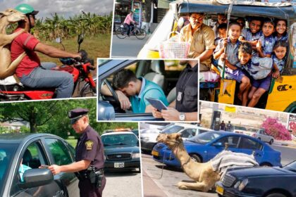 Leis de trânsito bizarras no Brasil e mundo, você não vai acreditar