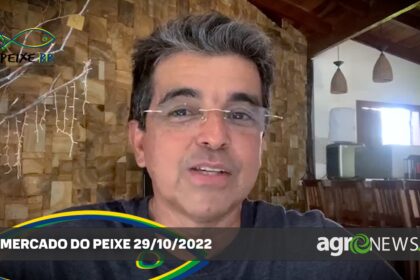 Mercado do Peixe 29 de outubro 2022, acompanhe o setor da piscicultura no Brasil