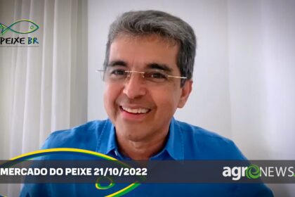 Mercado do Peixe 21 de outubro 2022, veja os destaques da semana