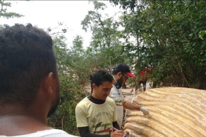 Baleia na Floresta Amazônica? Sim e cientistas ficaram chocados ao encontrá-la