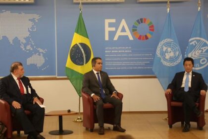 Brasil renova parceria com a Organização das Nações Unidas para Agricultura e Alimentação (FAO)