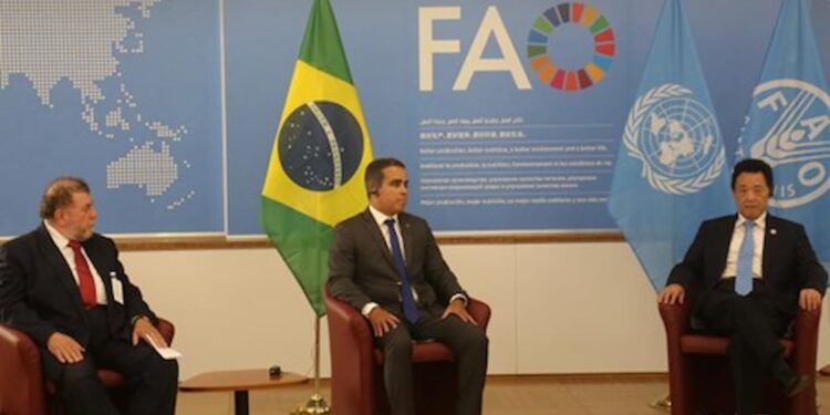 Brasil renova parceria com a Organização das Nações Unidas para Agricultura e Alimentação (FAO)
