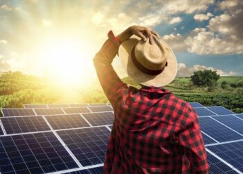 "Netflix" da energia solar: como reduzir a conta de luz sem precisar comprar painéis solares