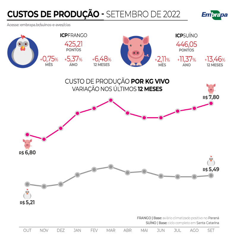 O que papagaio tanto escondia no tronco? Fazendeiro descobre e se emociona