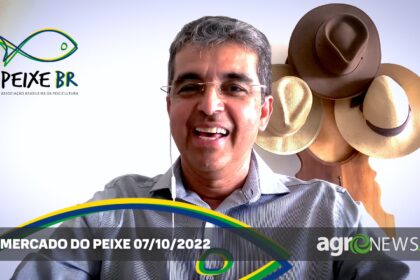 Mercado do peixe esta semana no Brasil (07/10)