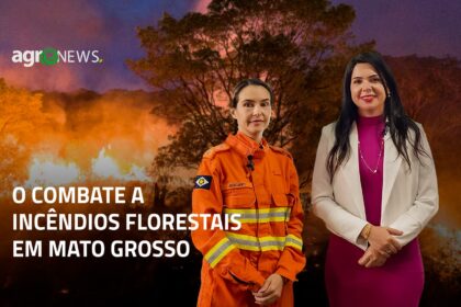 O trabalho de combate aos incêndios e queimadas ilegais em MT