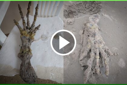 Vídeo: Esqueleto de mão gigante humanoide misteriosa aparece na praia