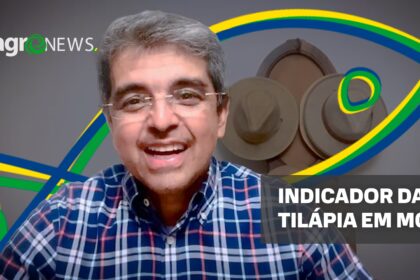 Mercado do Peixe 12 de Novembro 2022, Minas entra nos indicadores de tilápia do Cepea