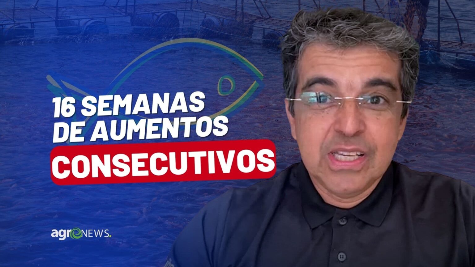 Mercado Do Peixe 26 De Novembro 2022 16 Semanas De Aumentos Consecutivos