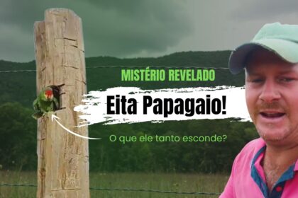 O que papagaio tanto escondia no tronco? Fazendeiro descobre e se emociona