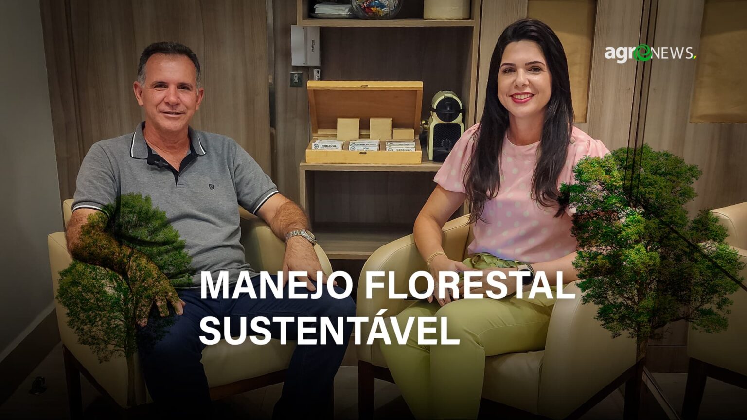 Entenda o Plano de Manejo Florestal Sustentável e sua viabilidade econômica