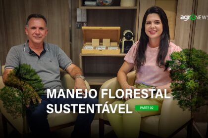 Sisflora e o Plano de Manejo Florestal Sustentável na prática