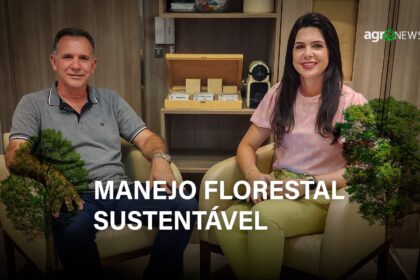 Entenda o Plano de Manejo Florestal Sustentável e sua viabilidade econômica